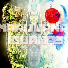 Conceited Clouds - DFWM (feat. Uvogin) (prod. Austin Manly)