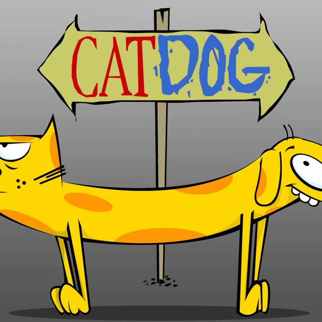 Stream The CatDog Remix by © Cornbeefsoup | Listen online for free