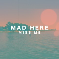 Miss Me (Original Mix)