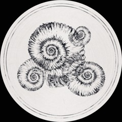 Fossil Archive 005 - Roberto - Perisphinctes Tiziani [Rolando & Sterac Remixes]