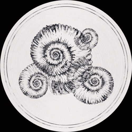 Fossil Archive 005 - Roberto - Perisphinctes Tiziani [Rolando & Sterac Remixes]
