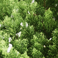 [Cover] Mashup: Hao Xiang Ni - Giá Như Anh Lặng Im - Đếm Ngày Xa Em - Làm Người Yêu Anh Nhé Baby