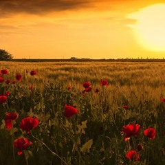 Djordje Balasevic - Lepa Protina Kci