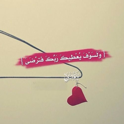 فيديو مؤثر جداً للشيخ الشعراوي رحمة الله عليه