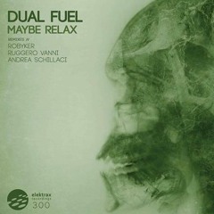 Dual Fuel - Maybe Relax (Andrea Schillaci Remix)