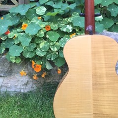 A&M S1 - Mountains Of Illinois