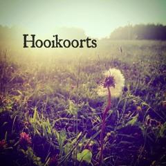 Hooikoorts ft. Hilin Doyou (prod.Koolade Beats)