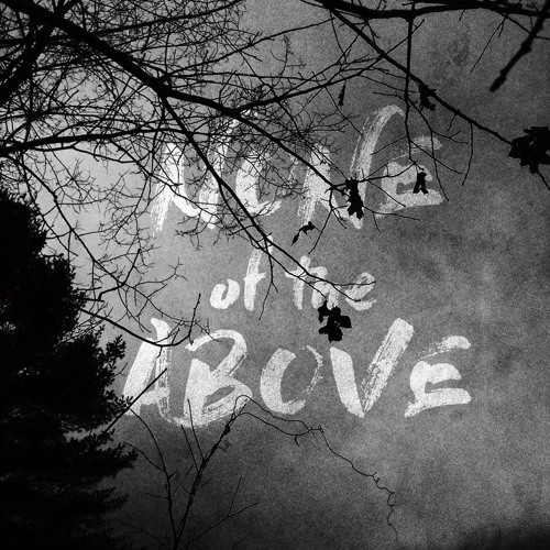 Noneoftheabove - Signs Of Demonic Possession ( Marla Singer Remix V1 )