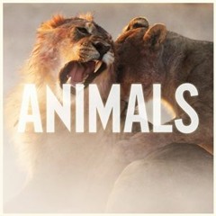 Animals - Marron 5 - Urbana Shouqat (Cover) [FastBeats]