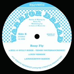 B1 Bony Fly Feat.Tenor Youthman - Hill & Gully Rider Remix (Preview) 12" Vinyl