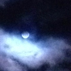 The Raven Live at Huon Valley Mid Winter Fest 2016