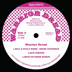 A1 Warrior Dread feat. Tenor Youthman - Hill & Gully Rider (Preview) 12" Vinyl