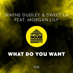 Wayne Dudley, Sweet LA & Morgan Lily - What Do You Want