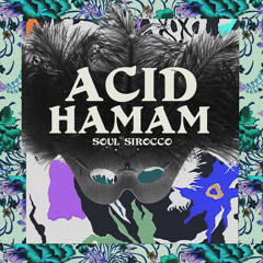 Richard Rossa & Acid Hamam - Shaman Disco