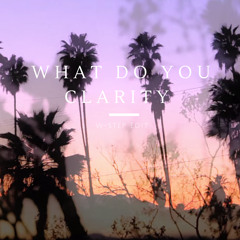 What Do You Clarity (Justin Bieber X Vicetone)