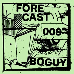 Forecast 009: Boguy