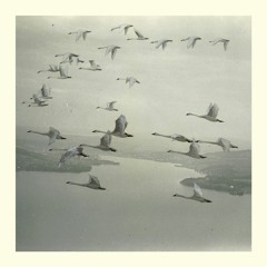 Snow Ghosts - And The World Was Gone (Roly Porter Remix)