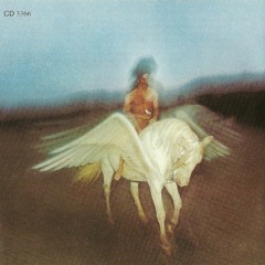 Mangabey - Is Gonna Be