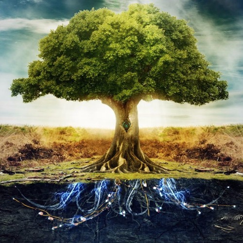 Altered Conscious State