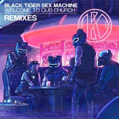 Black Tiger Sex Machine - Crazies (ft. Husser) (Twine Remix)
