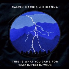 Calvin Harris - This Is What You Came For ft. Rihanna ( Dj Peet & Dj Wiils Remix )