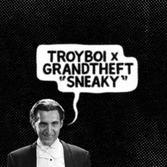 TroyBoi x Grandtheft - Sneaky