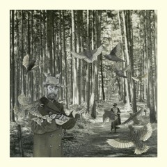 Snow Ghosts - Secret Garden (Richard Skelton Remix)