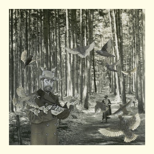 Snow Ghosts - Secret Garden (Richard Skelton Remix)