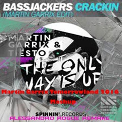 Crackin vs The Only Way Is Up (Martin Garrix Tomorrowland 2016 Mashup) [Alessandro Rogue Remake]