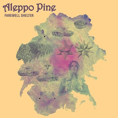 Aleppo Pine - Only A Reflection
