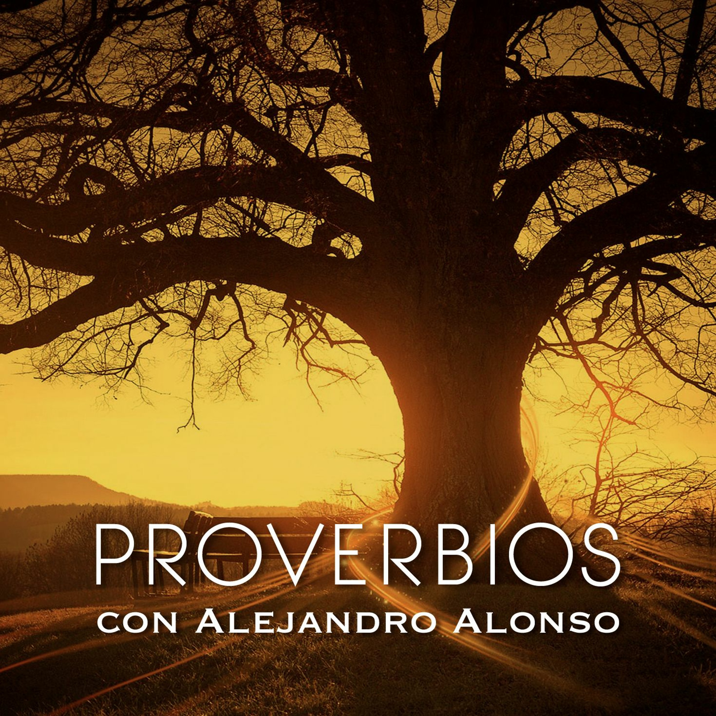 Proverbios 4 episode artwork