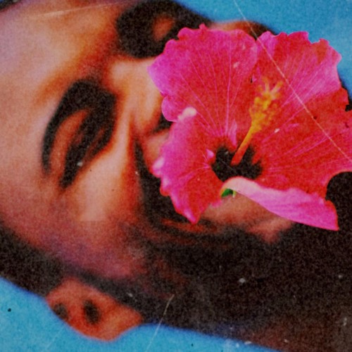shewoke prod. eu-IV