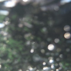 One - Evelin & Eva LL