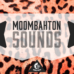 Moombahton Sounds [5 Construction Kits, 100+ Kick & Vocal Samples, Presets]