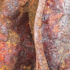 Avsnitt #4 Verklighetsparadox