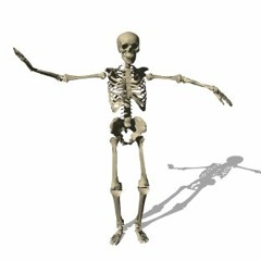 More like Spookulele