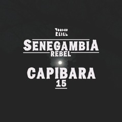 Capibara - 15