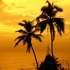 Beach House