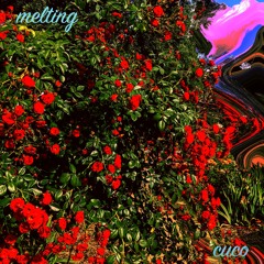 Melting (Cover)