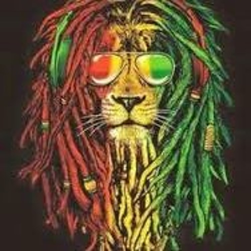 Irie Souljah - Learn and Grow