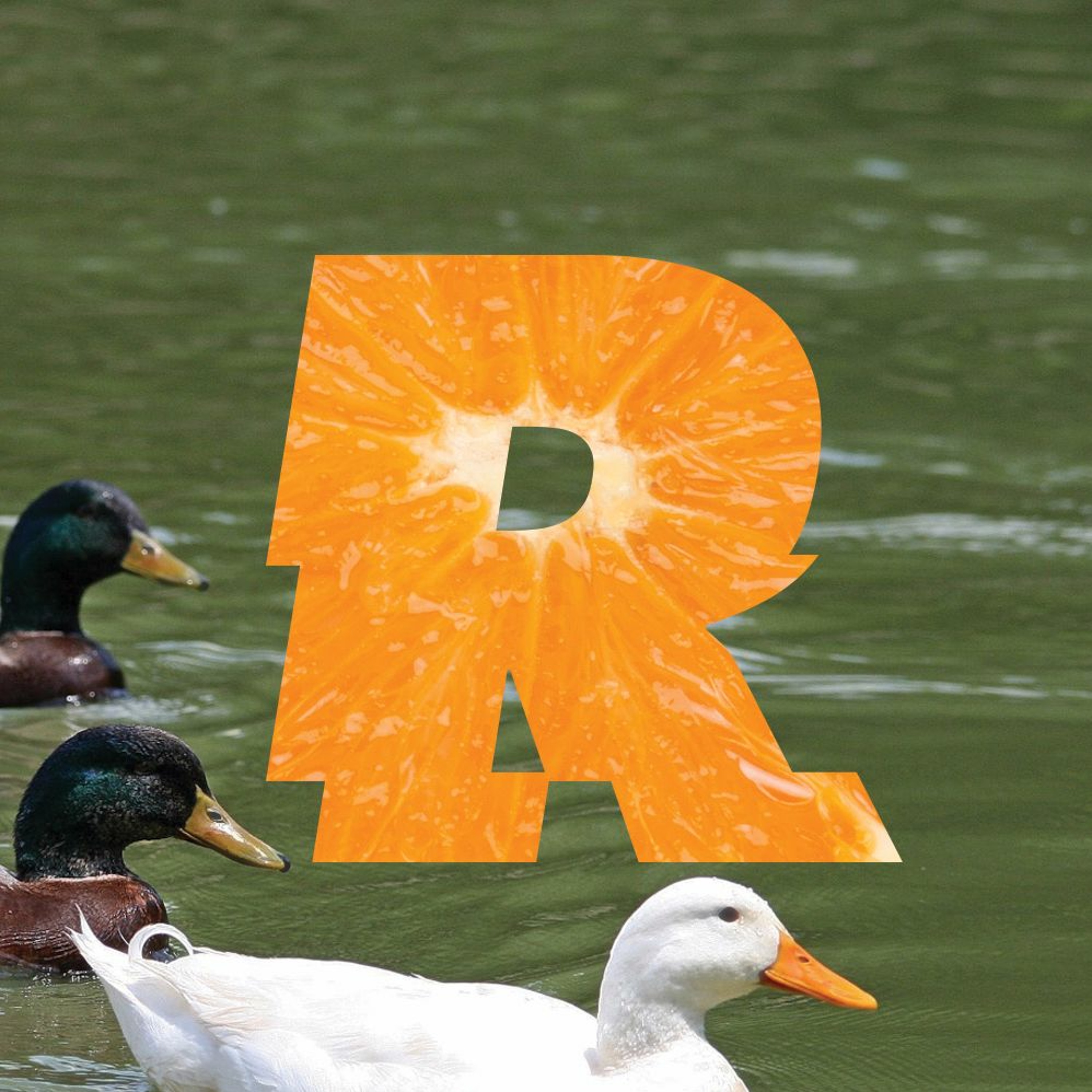 REMESA