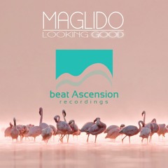 Maglido - Looking  Good