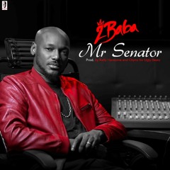 2Baba - Mr Senator