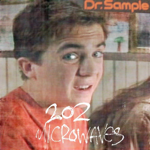 202 Microwaves