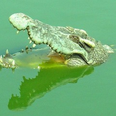 Green Velvet & Patrick Topping - Voicemail