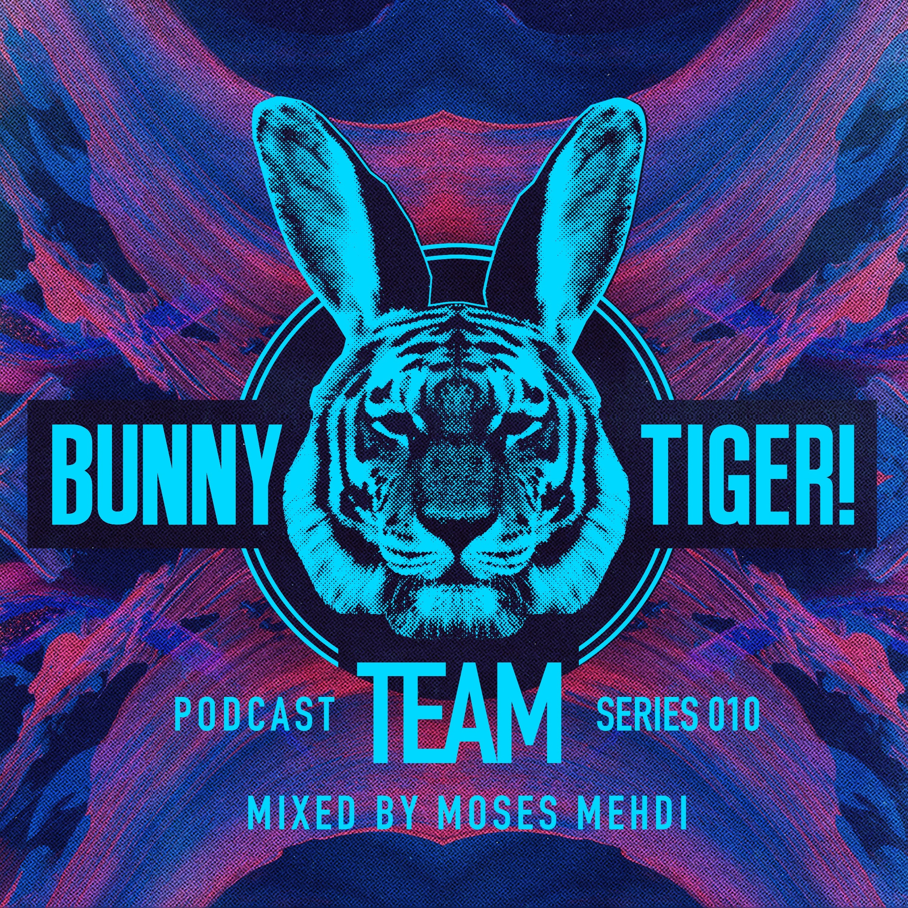 Bunny Tiger Podcast