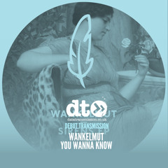 Wankelmut - You Wanna Know