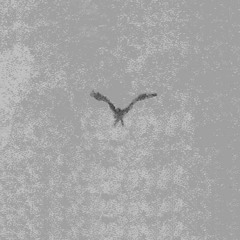 tinymike - Like you Do