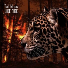 [Preview] Tali Muss - Like Fire (Original Mix)