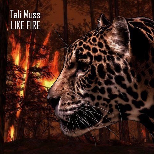 [Preview] Tali Muss - Like Fire (Original Mix)
